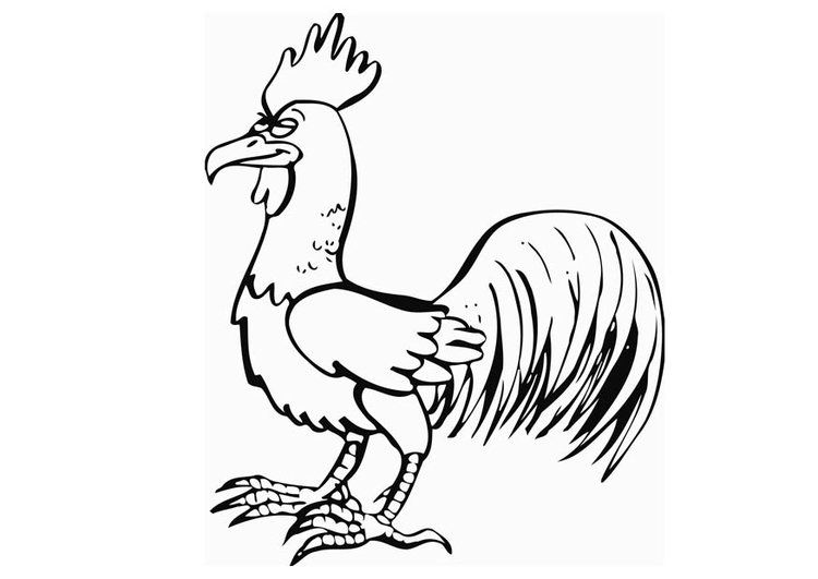 Coloriage le coq