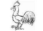 le coq