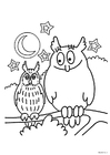 Coloriage le hibou