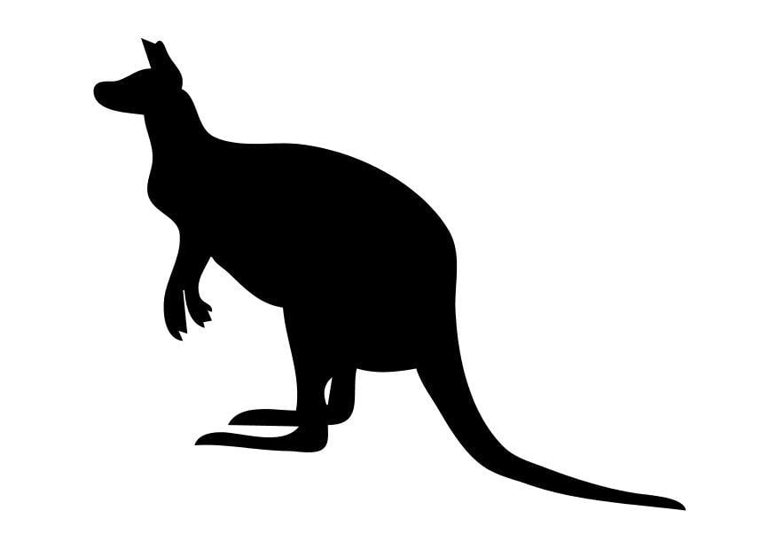 Coloriage le kangourou