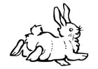 Coloriages le lapin