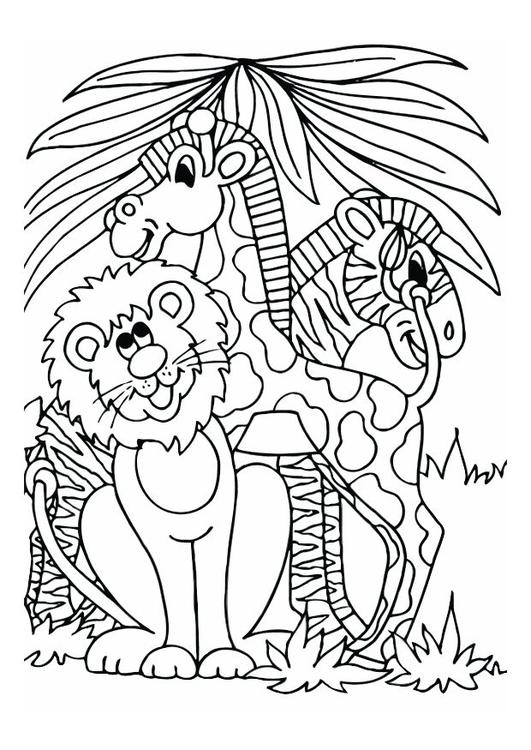 le lion, la girafe et le zÃ¨bre