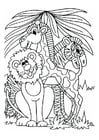 Coloriage le lion, la girafe et le zÃ¨bre