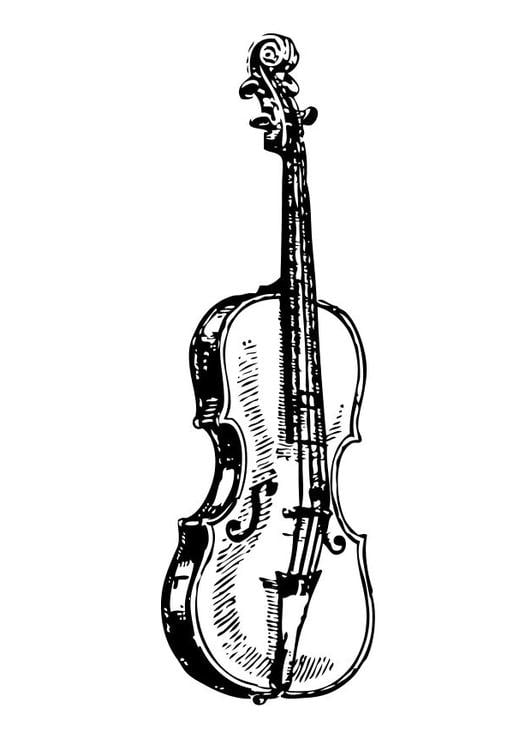 le violon