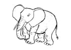 Coloriage l'Ã©lÃ©phant