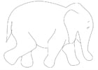 Coloriage l'Ã©lÃ©phant