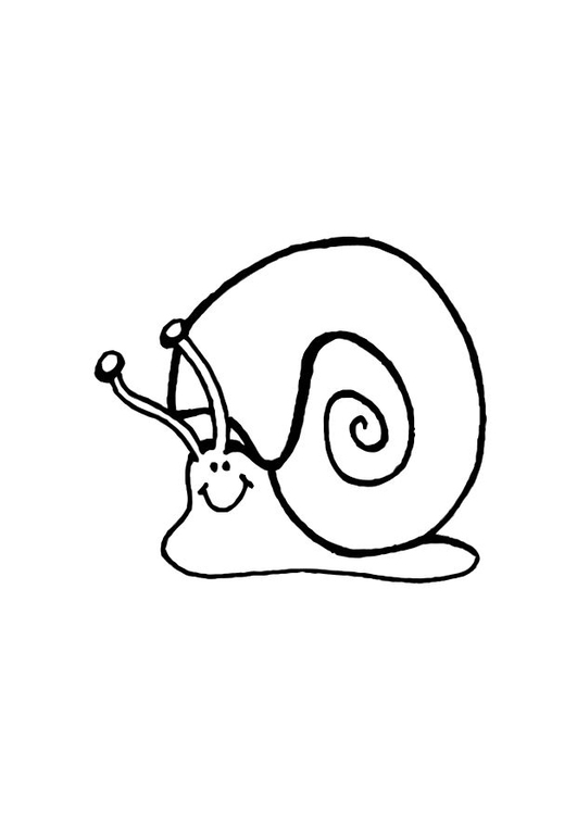 Coloriage l'escargot