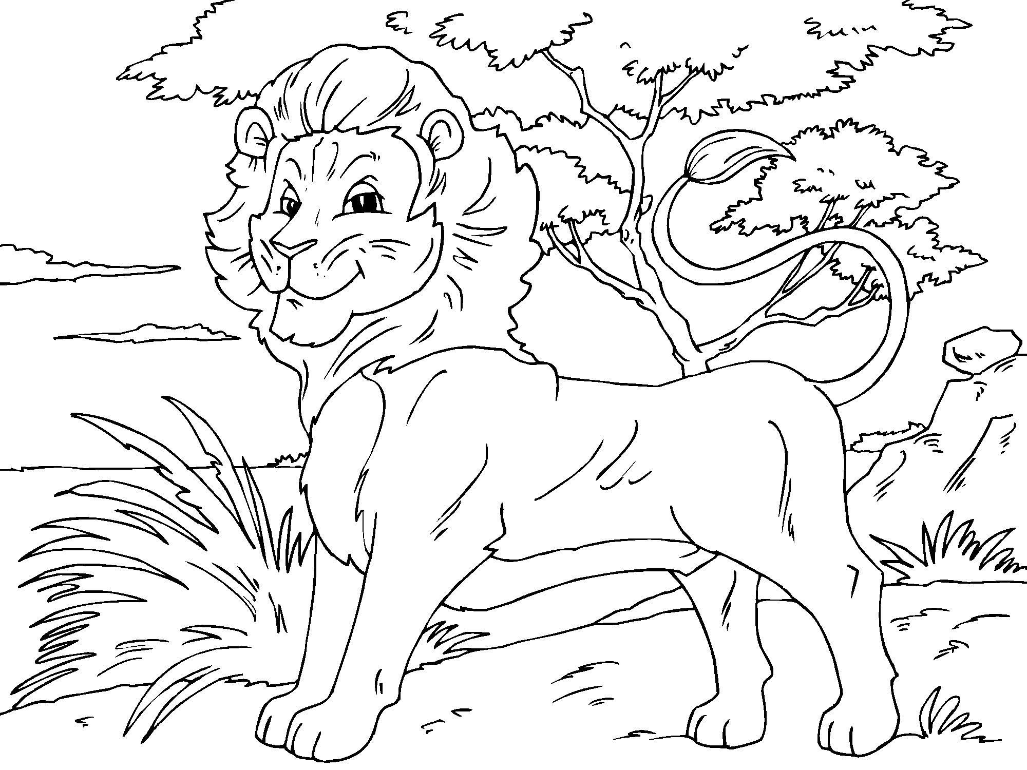 Coloriage lion  Coloriages Gratuits à Imprimer  Dessin 23020