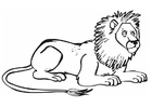 Coloriage lion