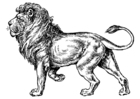 Coloriages lion