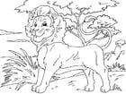 Coloriage lion