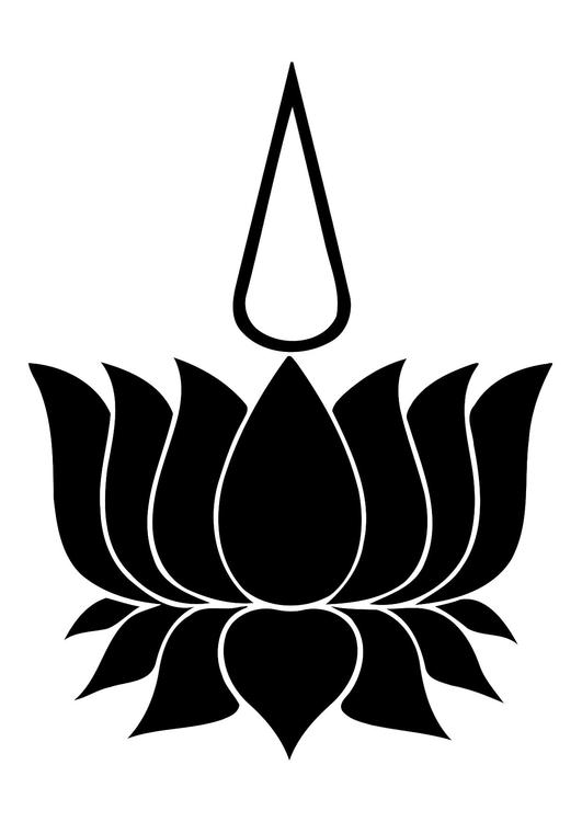 lotus et Ã¢me