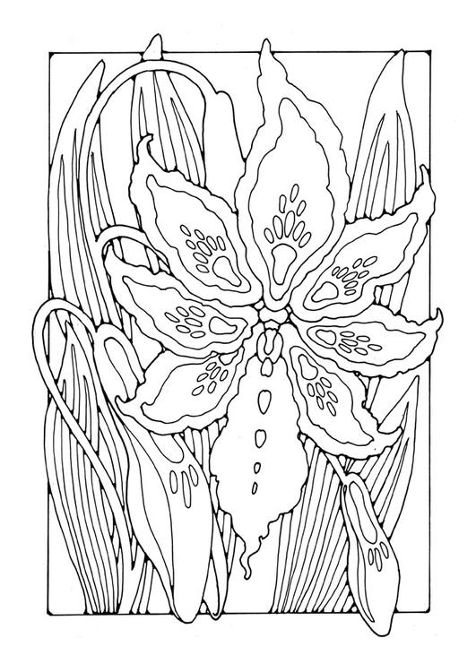 lys