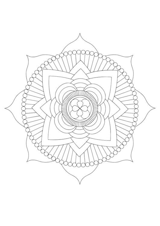 mandala - lotus