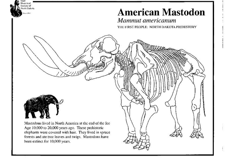 Coloriage mastodon