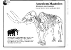 Coloriages mastodon