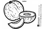 Coloriage melon