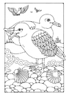 Coloriages Mouettes