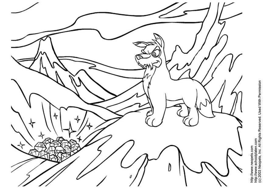 Coloriage Neopets