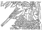 Coloriages nid d'oiseau