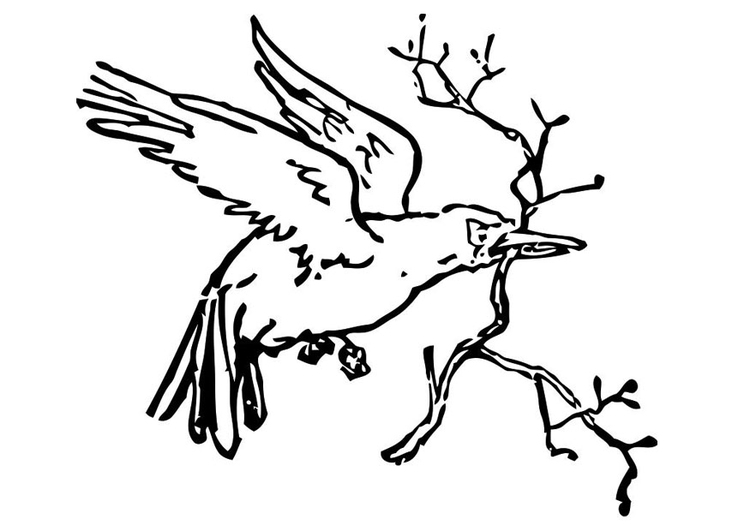 Coloriage oiseau avec branche