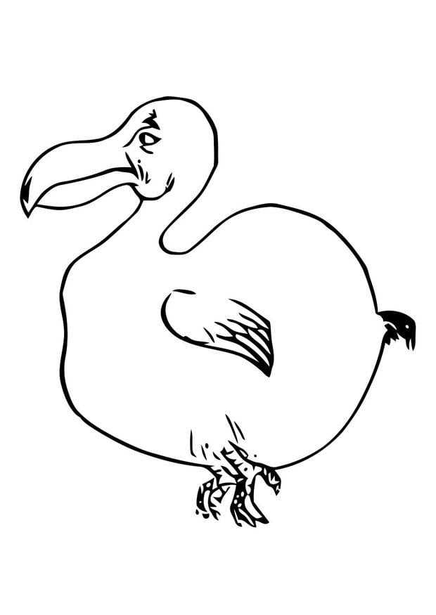 Coloriage oiseau - dodo