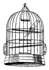 Coloriages oiseau en cage