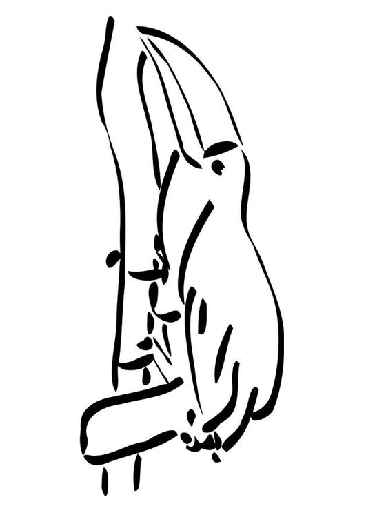 oiseau sur brance - toucan