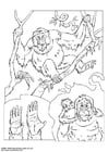 Coloriage orang-outang