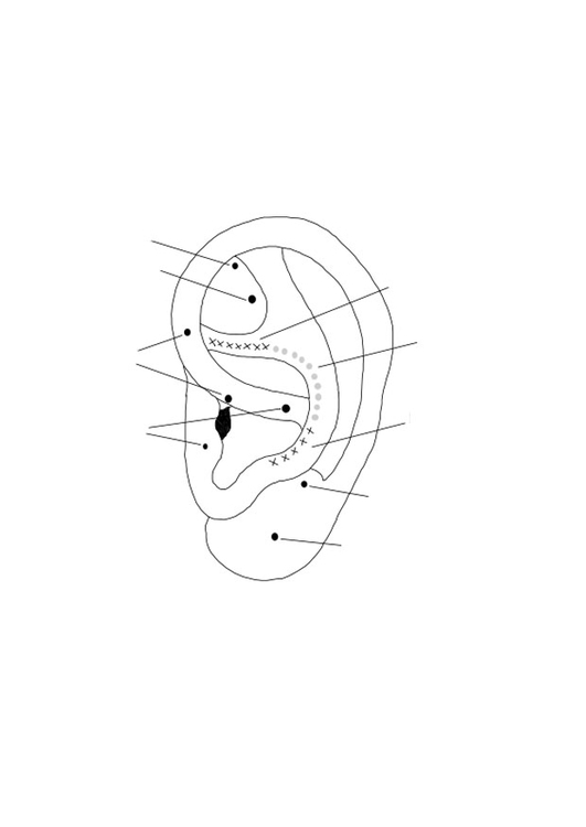 Coloriage oreille