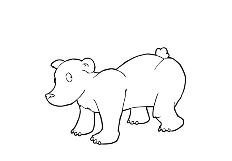 Coloriage ours  Coloriages Gratuits à Imprimer  Dessin 13740