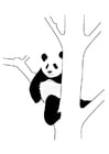 Coloriage panda dans un arbre