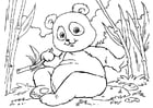Coloriage panda