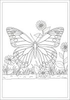 Coloriage papillon dans le jardin