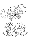 Coloriages papillon jouit