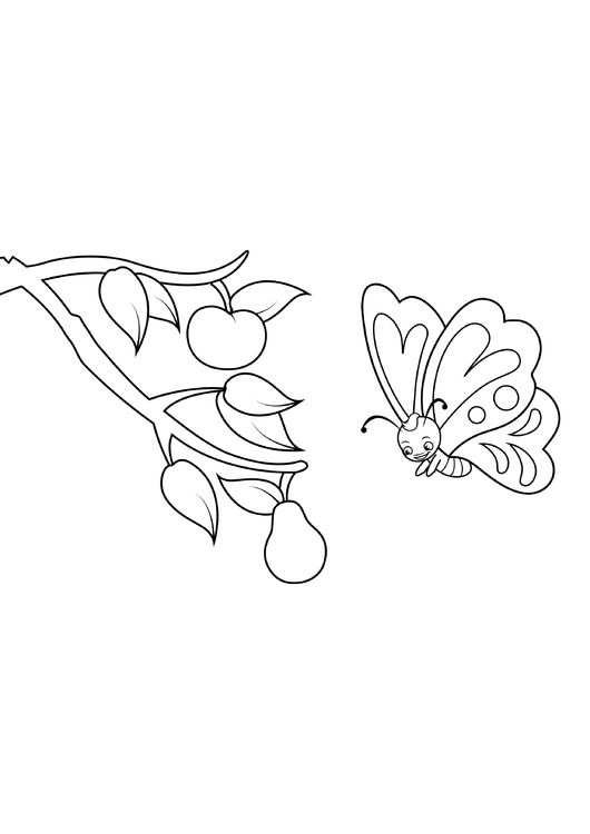 Coloriage papillon voit poire