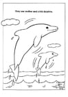 Coloriage parc naturel des dauphins