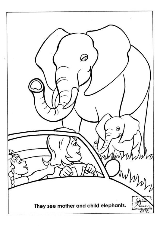Coloriage parc naturel des elephants