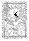 coloriage perroquet