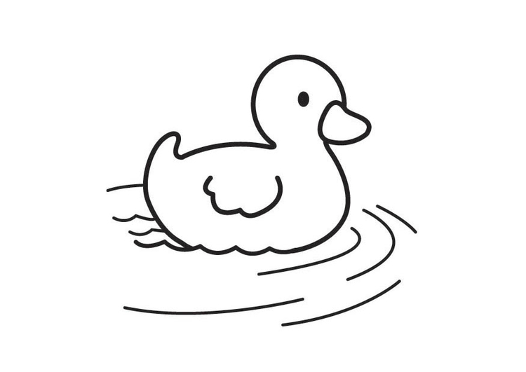 Coloriage Petit canard