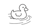 coloriage Petit canard
