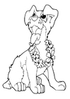 Coloriage petit chien