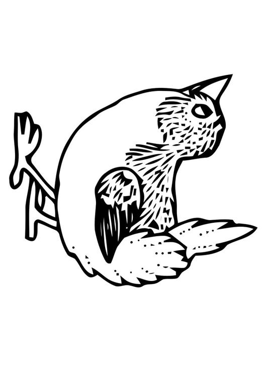petit oiseau