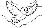 petit oiseau