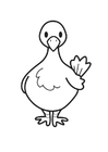 coloriage Pigeon