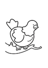 coloriage Pingeon