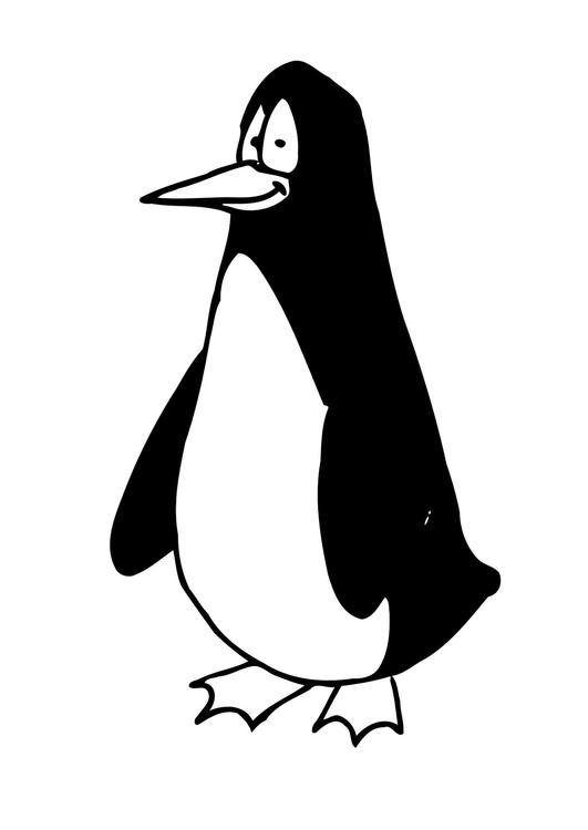 pingouin