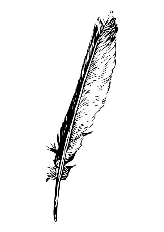 plume
