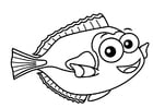 Coloriage poisson-chirurgien