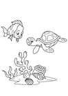 Coloriages poisson et tortue d&#39;eau